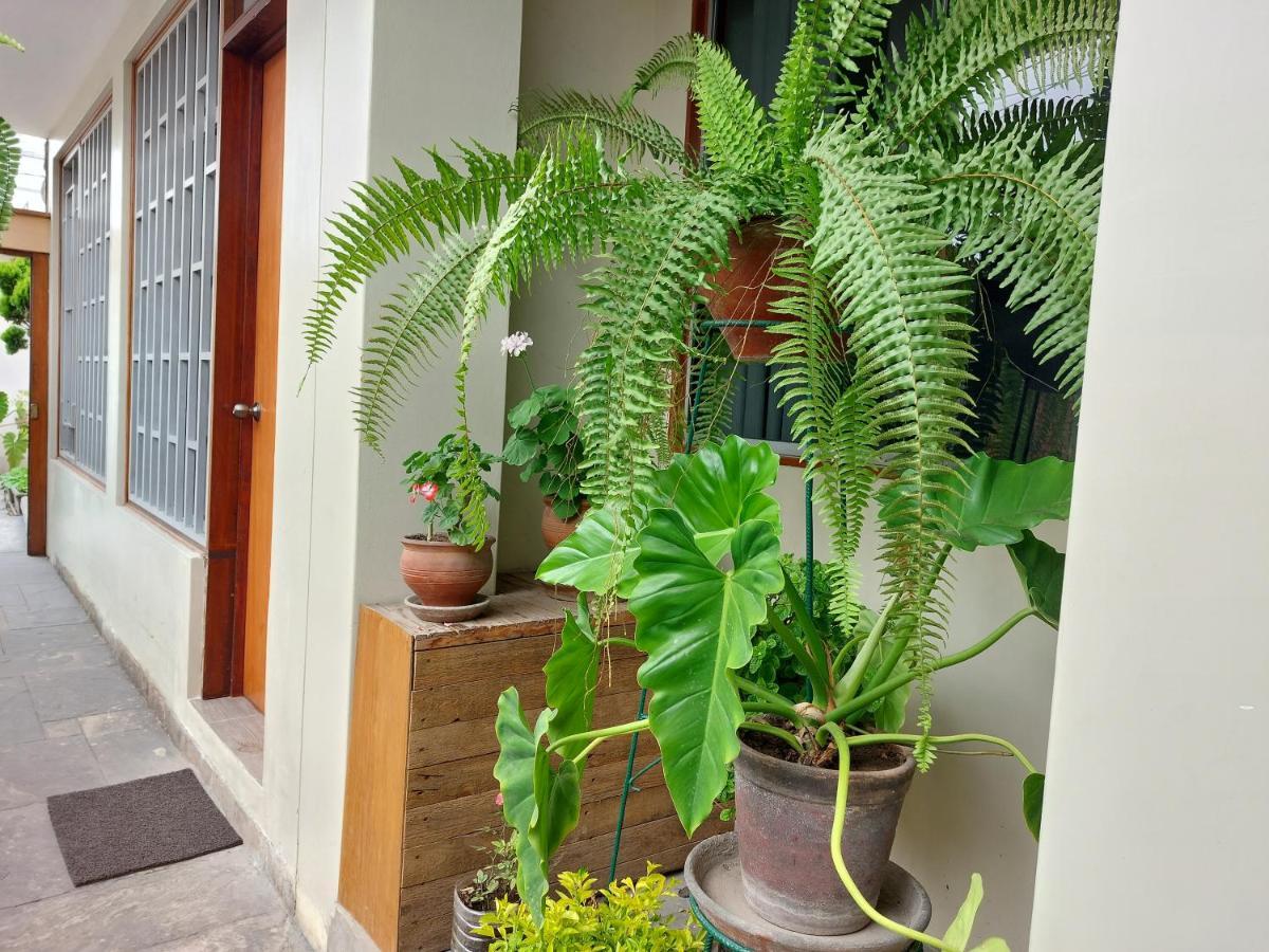 Appartement Casa Amarello à Lima Extérieur photo