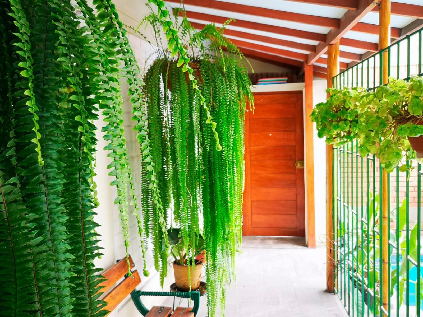 Appartement Casa Amarello à Lima Extérieur photo